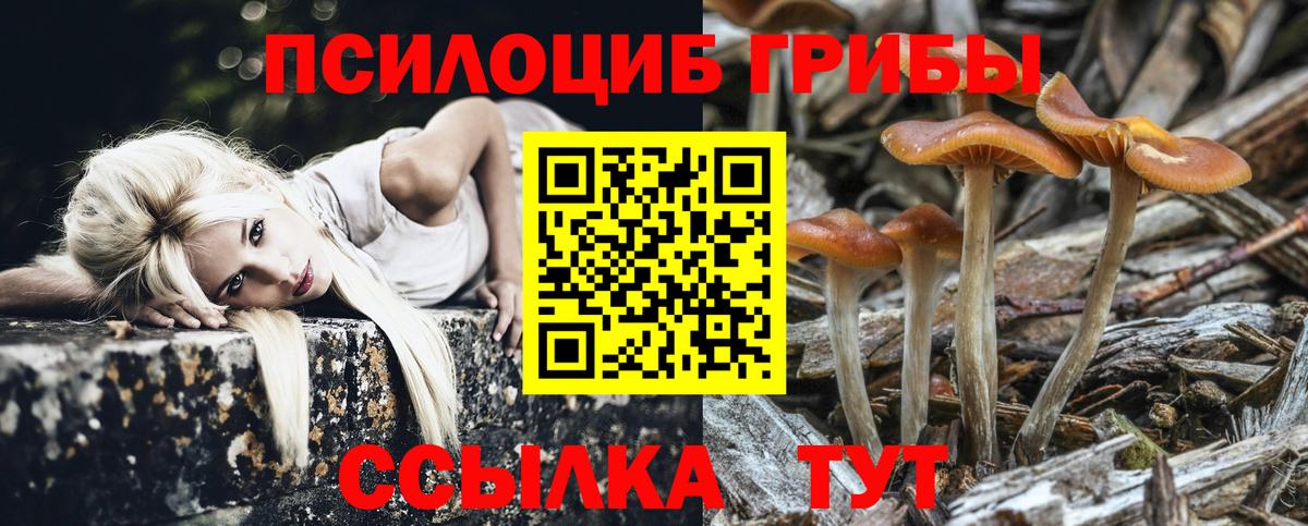 Галлюциногенные грибы Cubensis Карпинск