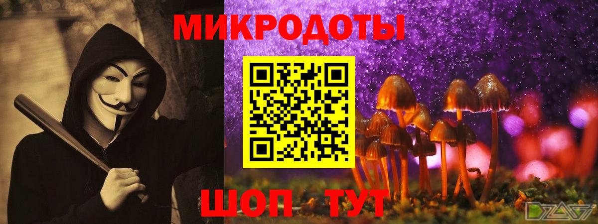 Карпинск  купить  цена  Вход с VPN  Галлюциногенные грибы мицелий 